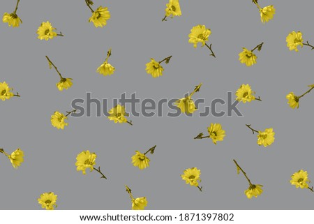 Yellow flowers blossom pattern on gray background. Flowers in volume fly, 3d effect. Zero gravity.