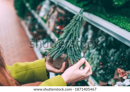The girl holds in her hands a decorative Christmas, New Year tree. against the background of a shop window