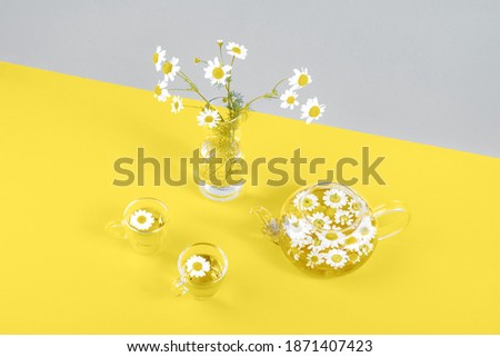 Two cups of camomile tea, transparent teapot and vase with daisy-like flowers on gray yellow background. Chamomile Tea Benefits Your Health concept. Trendy colors 2021