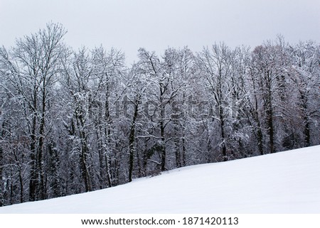 Wintery white snow landscape with minimal line of black trees silhouette on mountain hill  inspired nature seasons concept