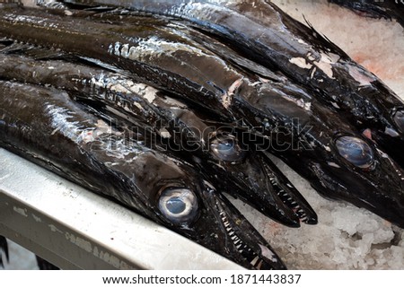 Scabbard Fish Stock Photos And Images Avopix Com