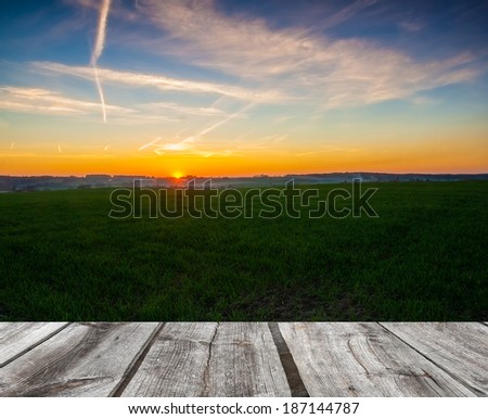 spring field landscape with wooden floor