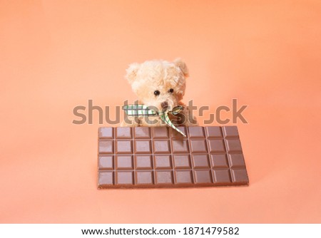 bar of milk chocolate and bear on orange background