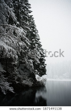 winter landscape at the lake of Fusine, in the north of Italy