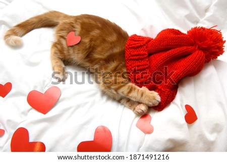funny red kitten with heart on the white blanket. concept of love valentines day pets