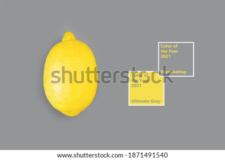 Trendy Color of the Year 2021. Illuminating Yellow and Ultimate Gray. Lemon fruit isolated on gray background, flat lay.