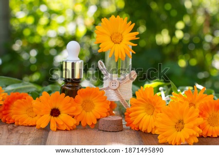 calendula flowers A bottle of calendula oil on a background of green leaves (calendula extract, medicinal tincture).