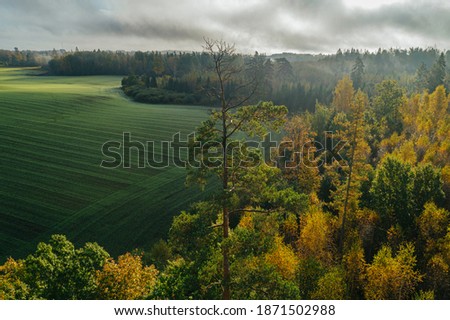 Aerial view of autumn morning in the countryside