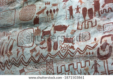 Detail of the paintings on a rock in "Cerro Azul" in La Lindosa, Guaviare. Primitive art on red pigments over a white natural rock, paintings of animals an tribal patterns. Near Chiribiquete formation