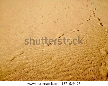 Golden sand with crossing paths of textured footprints and wind marks at the beach of Canary islands. Natural textured yellow background. Natural gold wavy pattern of beach with clear grains of sand