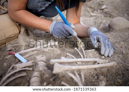 Young woman archaeologist working on human remains excavation Royalty-Free Stock Photo #1871539363