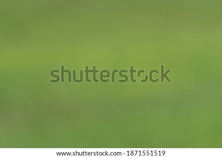 blurred green background with space for text bokeh