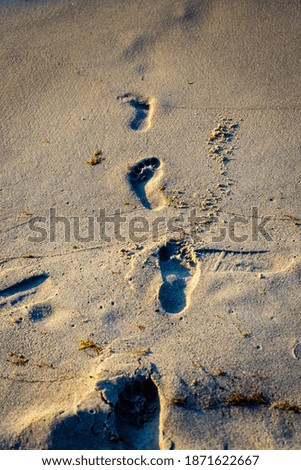 A vertical shot of foot traces on sand