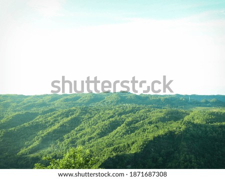 Green Scenery Isolated Nature Picture