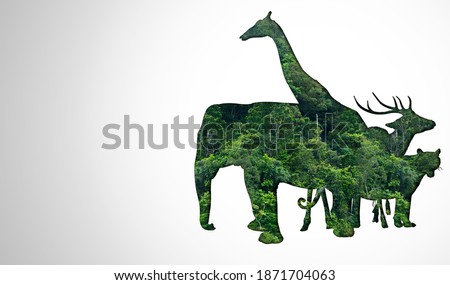 Wildlife Conservation Day Wild animals to the home. Or wildlife protection Royalty-Free Stock Photo #1871704063