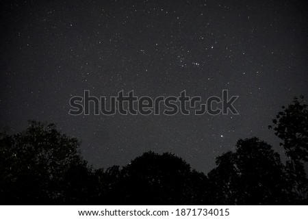 Long Exposure Night Photo. A Lot Of Stars With Trees On Foreground. Far From The City.