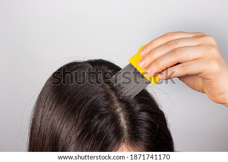 A brunette woman with pediculosis cleans her hair from lice and nits with a comb with small prongs. A lice comb.