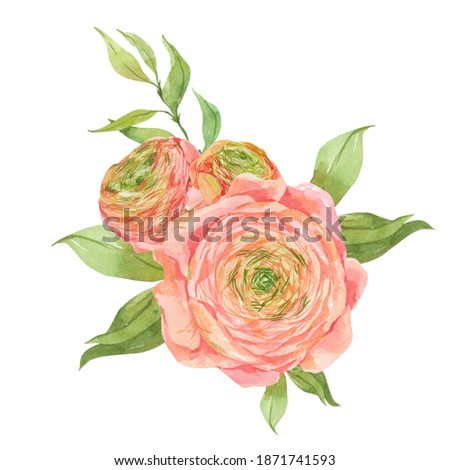 Spring blooms Ranunculus and green leaves. Watercolor bouquets for wedding decor. Floral elements on white background