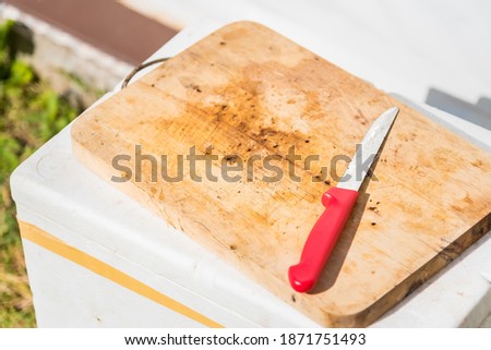 Kitchen wooden board with knife
