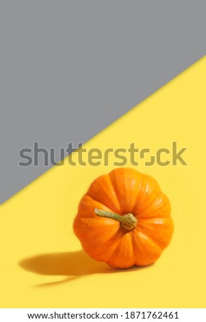 Pumpkin on yellow color of the year 2021 and gray background. High quality photo