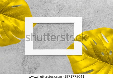 Green monstera palm leaf nature with white frame text box for presentation background or texture - natural or environment concept. Color 2021 illuminating and Ultimate Gray.