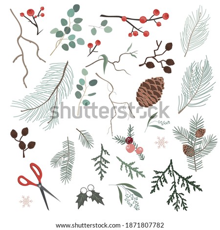 Botanical Christmas elements for making Xmas wreath, garland, or other home decor. Winter brunches, flowers, leaves, and pinecones isolated on white backgrounds. Vector set.