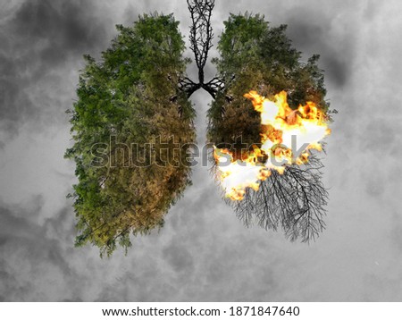 Abstract silhouette of lungs on a smog background . Trees are the lungs of the planet. Air pollution. Harm to nature. Ecological concept. Tree branch. The concept of pneumonia and bronchitis.