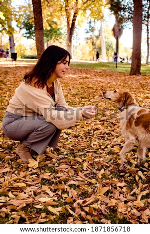 Stock photo of a woman in a park in autumn stroking a dog