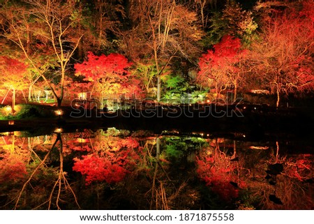 Oshu City, Iwate Prefecture Light-up of Autumn Leaves Royalty-Free Stock Photo #1871875558