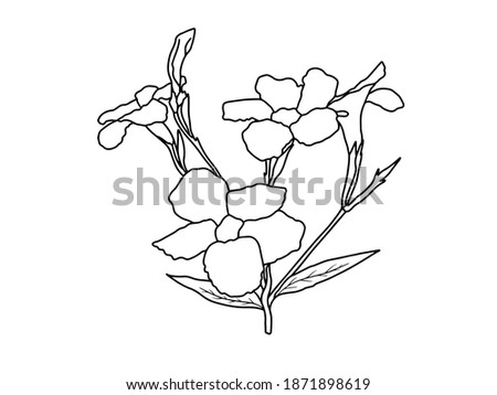 Flowers Line Arts.  You use on greeting card, frame, shopping bags, wall art, wedding invitation, decorations, and t-shirts