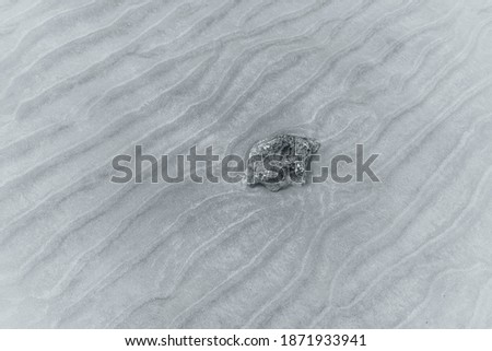 Background from the sandy bottom of the sea in ultimate gray, the color of 2021