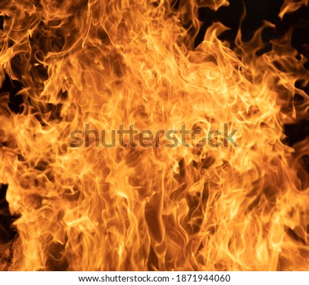 Bonfire flames close up. Danger of fire. Hazard concept.