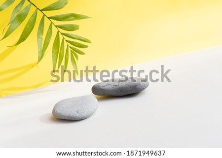 Minimal modern product display on ultimate gray and yellow background with shadows