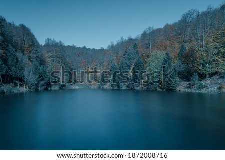 Long exposure cold blue tones of lake in forest