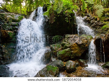 Picturesque forest waterfalls in Bwindi National Park. Uganda. E Royalty-Free Stock Photo #1872054058