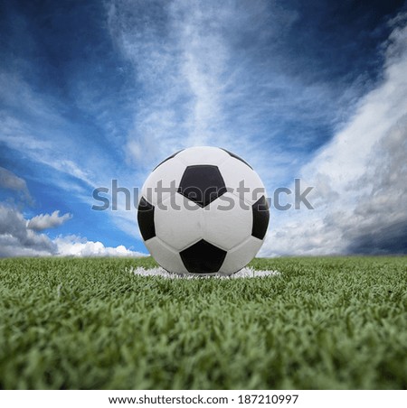 Football field soccer stadium on the green grass blue sky sport 