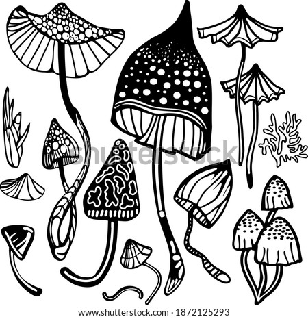 Set of magic psychedelic mushrooms. Coloring page hallucinogenic, fantazy mushrooms. Black and white isolated vector illustration.