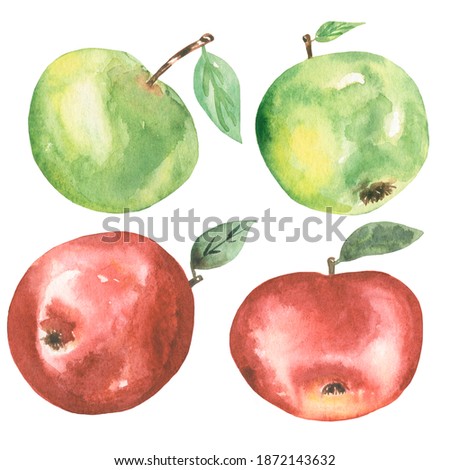 Watercolor hand painted red apple set illustration. Fruit clipart, summer healthy food clip art.