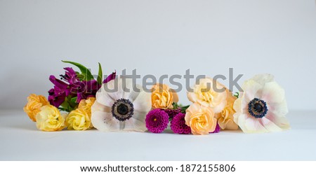 Panorama with bouquet of spring flowers. Mock up frame and colorful flowers. Empty space, mock up for presentation design, modern art. Space for text. 
