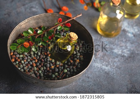Small bottle of  oil lays horizontally on the hackberry oil. Hackberry oil and dried seeds on dark wooden background. Royalty-Free Stock Photo #1872315805