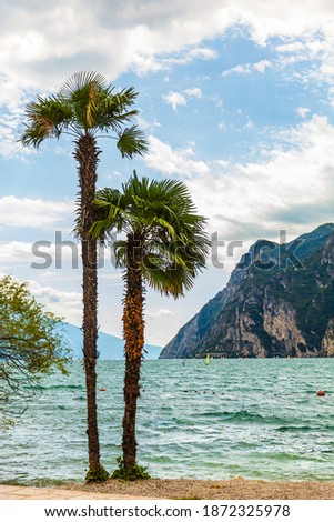 Palm trees tropical view at a lake beach at Riva del Garda