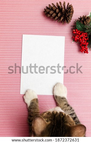 Blank card held by cat's hand on textured pink background. Mockup with christmas decoration.