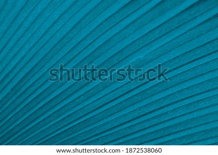 Blue palm leaf texture for background.