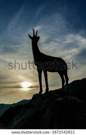 silhouette of deer, digital photo picture as a background , taken in bled lake area, slovenia, europe
