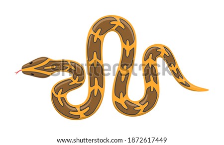 Burmese python animal standing on a white background. Cartoon style vector illustration