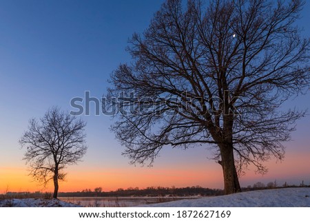 Tree silhouette by the river in the dawn twilight before sunrise in winter cold morning.