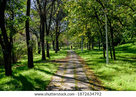 Landscape with the hidden alley surrounded by vivid green and yellow trees, plants trees and grass in a sunny autumn day in Parcul Tineretului (Tineretului Park) in Bucharest, Romania Royalty-Free Stock Photo #1872634792