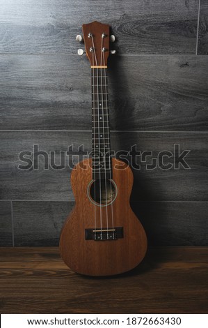 
soprano ukulele with white strings made of zebrawood on aged wood background