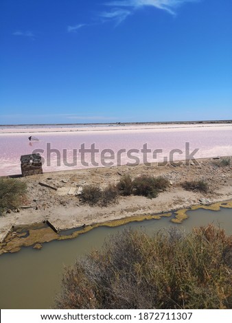 Saline of Gruissan, South of France