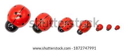 Valentine's day white background for congratulations. Background with place for text. On a beautiful pair of ladybugs